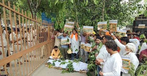 Unique protest... funeral procession of uprooted trees taken out