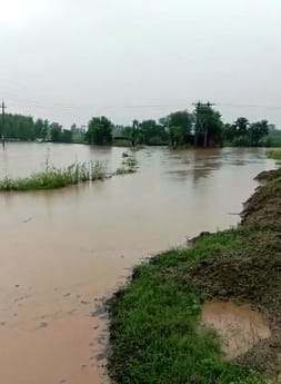 Crops submerged due to breaking of Som river embankment