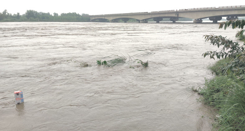 Yamuna in spate again, water level reaches warning mark