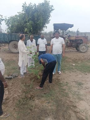 Gram Panchayat launched a tree plantation campaign in Lajwana Kalan village