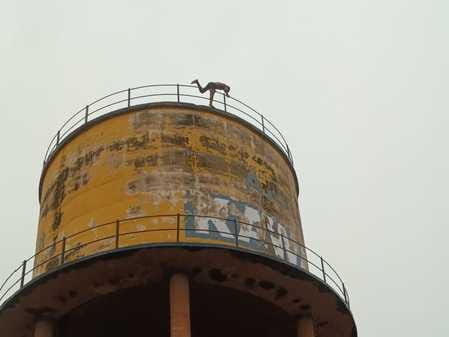 A drunk youth climbed on a water tank and created a ruckus