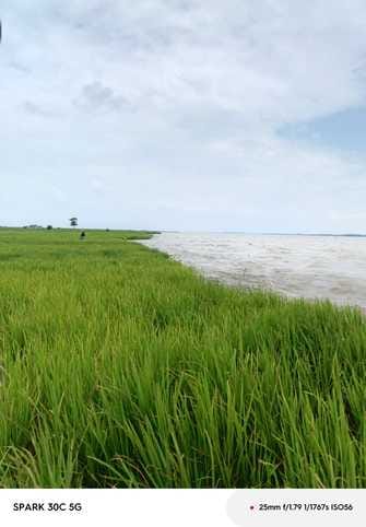 As the water level decreased, Sharda started eroding again