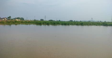 Bhiwani Ghaggar drain overflows, 150 acres of crops destroyed in Ratera