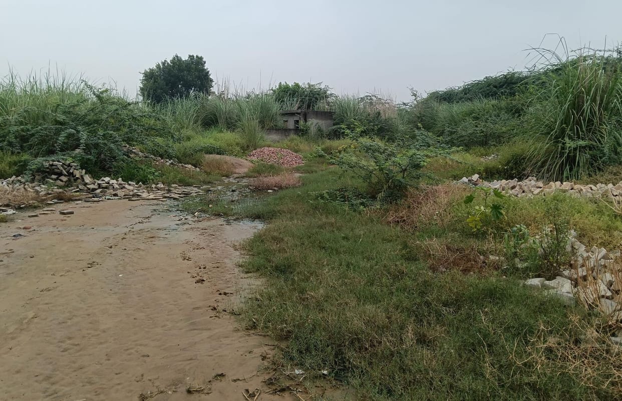 The hospital that treats animals of three villages is sick