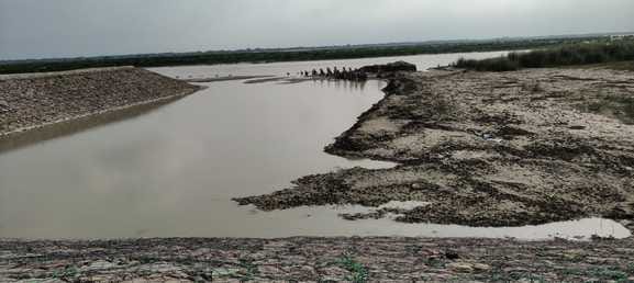Saryu-Rapti in spate, panic due to erosion near Dholbajwa
