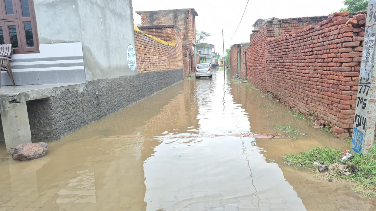 The city remained cloudy throughout the day, light rain in the evening, waterlogging in villages and crop damage increased concern