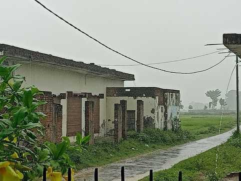 The rain in Dharamsinghwa area brought smiles on the faces of farmers