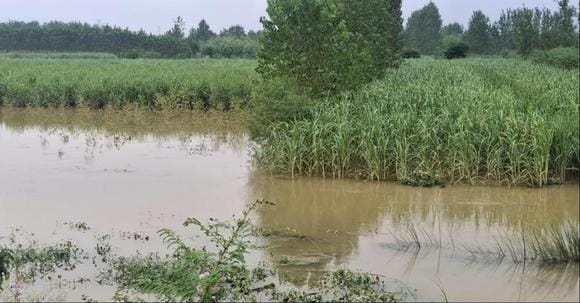 Villages became islands due to rising water level of Ganga