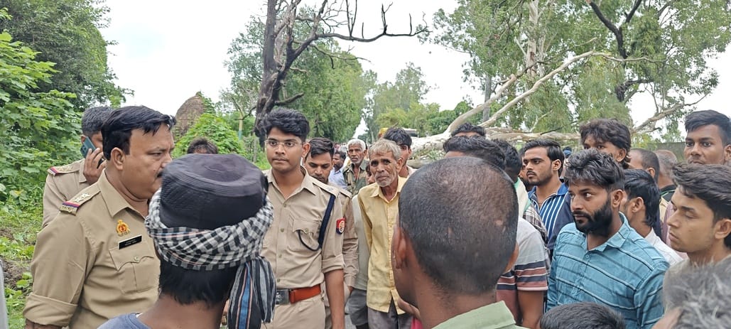 Two people died due to falling of tree on Meerut-Mawana road