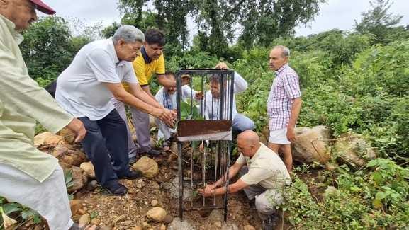kathua news, tree planting news