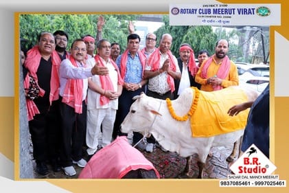 Rotary Club members did cow service