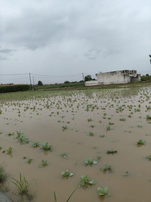 Santoshgarh area submerged due to rain