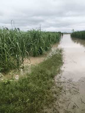 Do not go to the banks of Yamuna, the river is in spate