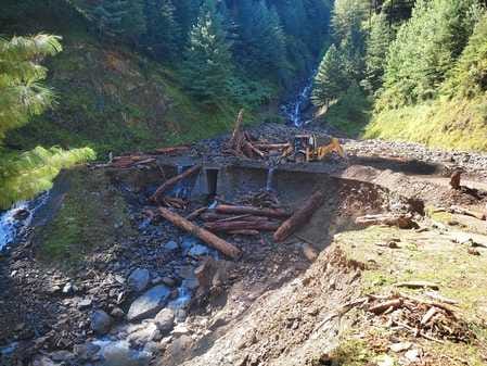 Kishtwar, DFO, Urge to Peoples, Not Collect Wood From Flood