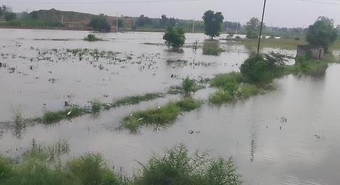 Bhurtana minor broken, bass channel drain overflowed, 150 acres of crops submerged, fields turned into ponds