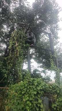 The electricity of the feeder of Bilari Rural Sub-Center remained stalled throughout the day