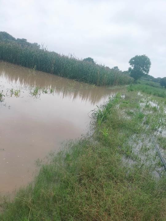 40 mm rain occurred in the district for one and a half hours, waterlogging in 25 villages, crops standing in 4000 acres were submerged in water