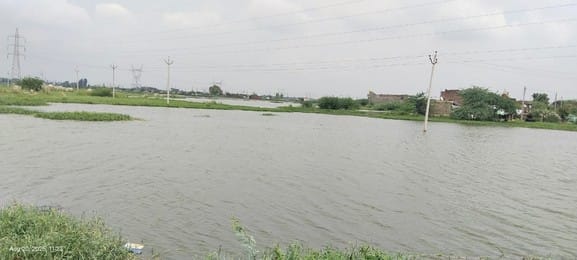 Neglect: 200 bigha farmland submerged, government staff did not even come to inspect it