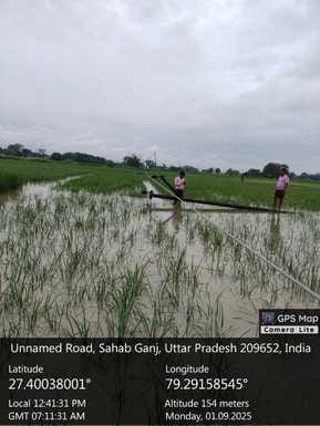 Electricity system collapsed due to rain, rural areas plunged into darkness