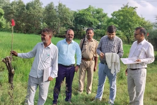 Farm was confiscated for not paying bank loan