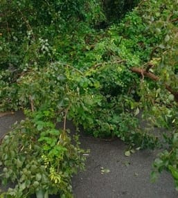 The humid heat tormented people, the rain in the afternoon brought some relief