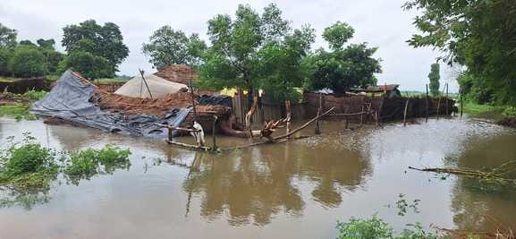 Devha-Sharda river swelled due to rain, flood water entered many villages of Terai