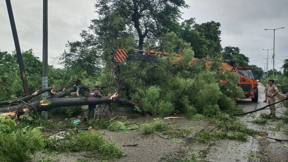 Trees fell in Purkaji, Charthaval and Chhapar, increasing trouble