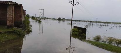 Kanpur Flood Infestation of mosquitoes along with insects fever patients increased waterlogging in villages