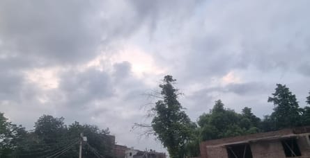 Sunny in the morning, then clouds gathered, relief from humidity