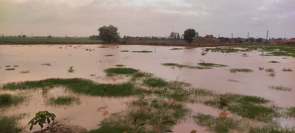 Rain increased the trouble of common people