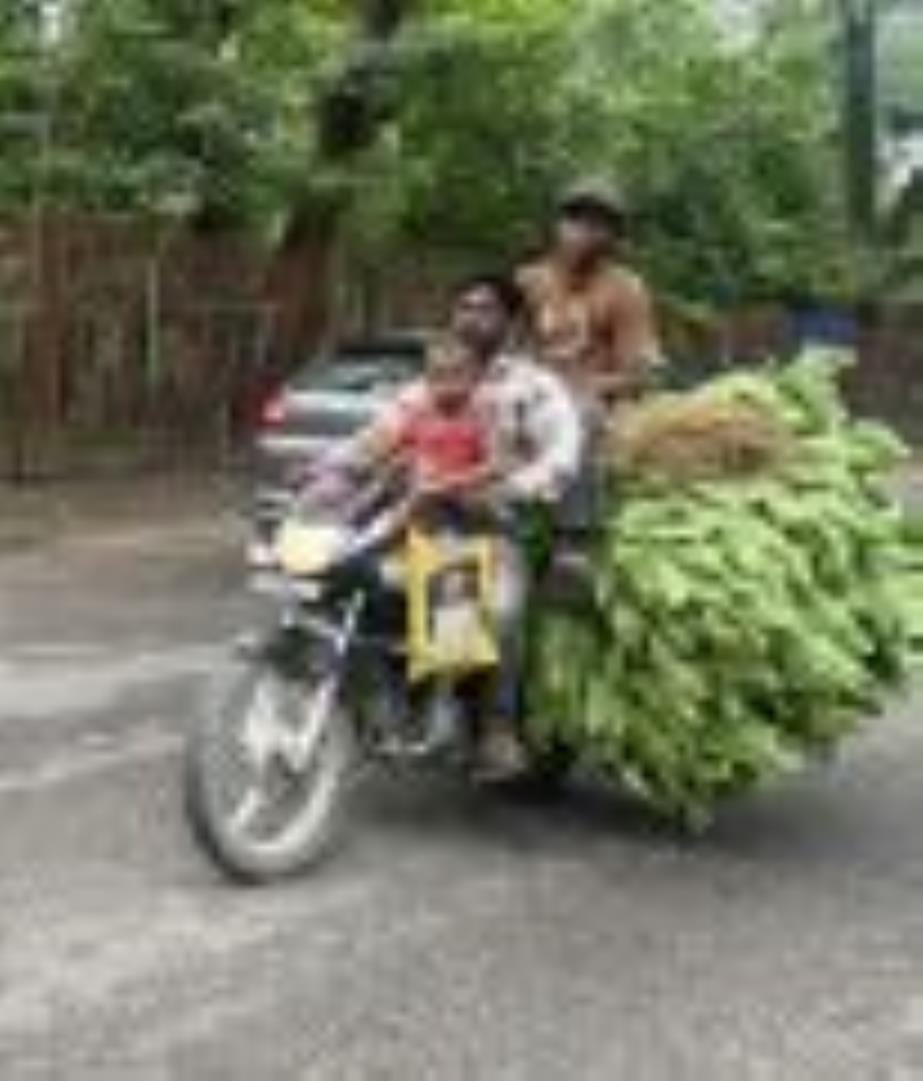 Dangerous journey...