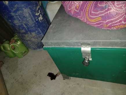 The horrifying truth was hidden in the green box, the nephew turned out to be the murderer, murder after rape