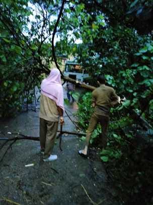 In the rain, the driver and conductor themselves cut the tree and restored the road