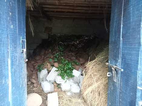 The wall of the cattle shed collapsed in Badhiyar, cracks appeared in the residential house