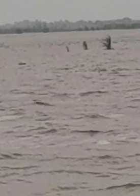 A 15-day long vigil was imposed in the villages along the Yamuna river