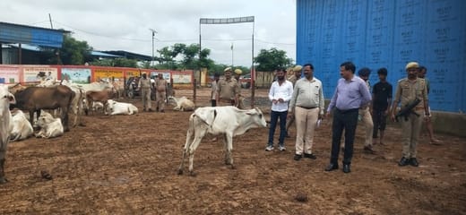 15 cows are sick in Gaushala, more than 100 are weak, action taken against six