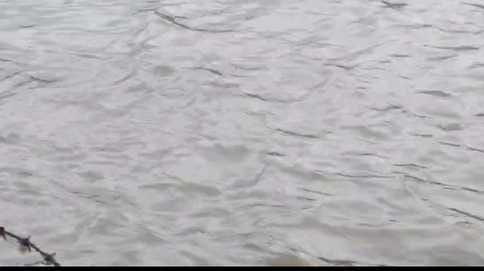 Bijnor: Debt-Ridden Farmer Jumps into Ganga, Search Operation Underway