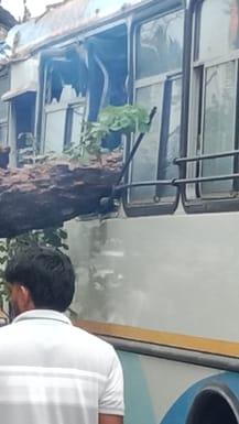 A tree fell on a roadways bus due to strong wind