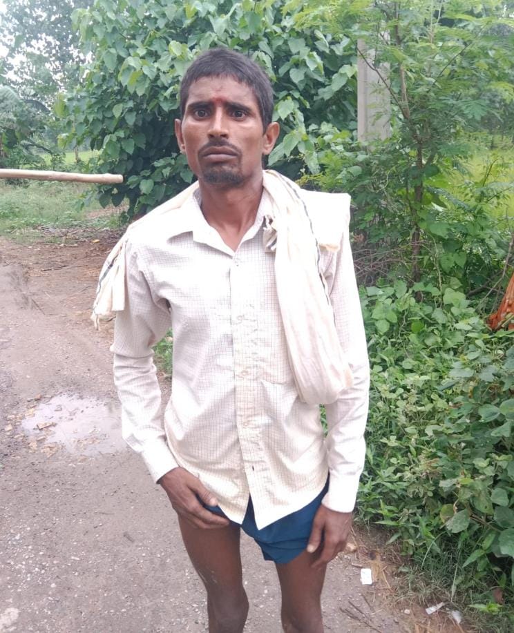 Wildlife attack on farmer