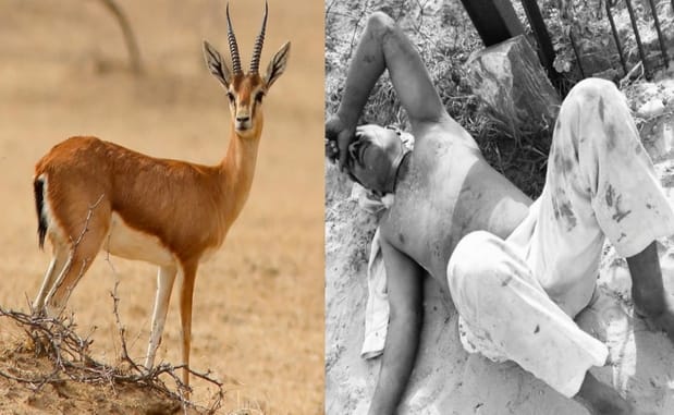 Rajasthan News: Sleeping farmer killed for stopping deer hunting in Jaisalmer, violence and arson in village