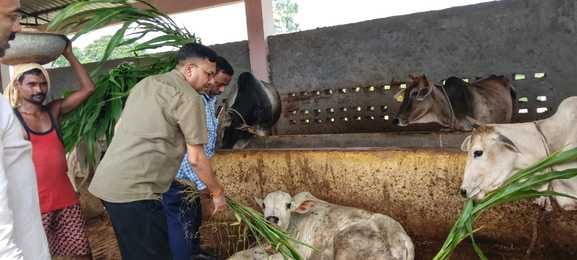 The project director inspected the cow shelters in Lohrauli and Bhagosa