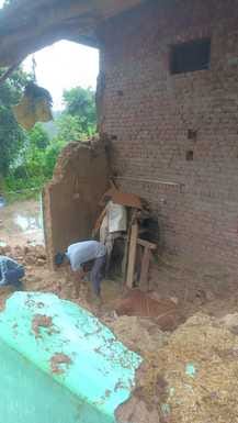 Gaushala collapsed in Maharal village, villagers rescued cow and calf from the rubble