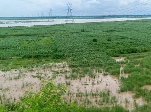 The water level of the Ganga river increased, hundreds of acres of crops got submerged