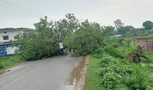 The rain was accompanied by a storm, trees fell on electric wires and poles,