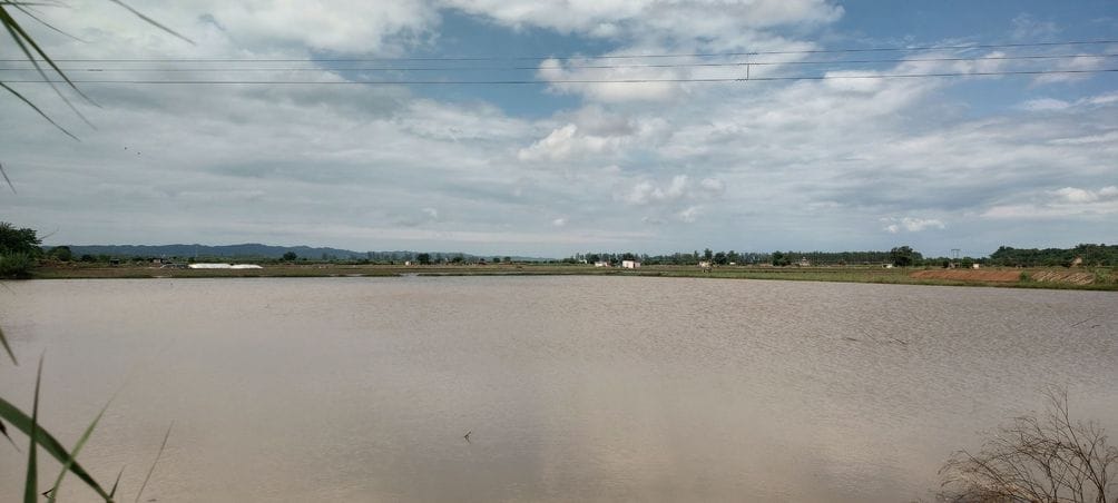 The water level of Bhakra Dam crossed 1678 feet, the danger mark remained two feet