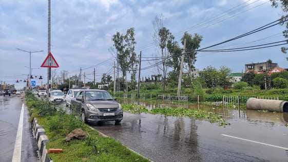 Water hyacinth appeared amidst waterlogging on Ambala-Jagadhari highway, waterlogging also occurred in industrial area