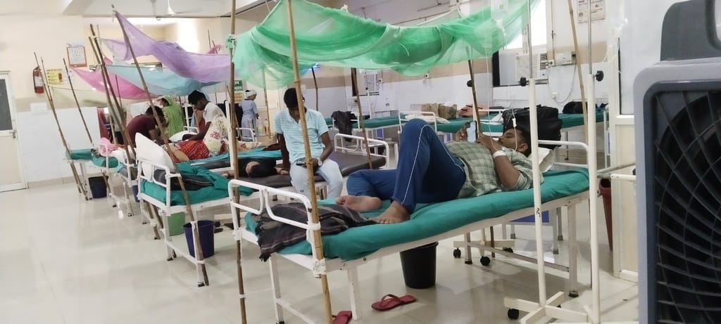 Dengue cases cross 1000 in Delhi malaria and chikungunya patients also increase