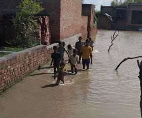 Flood: People are worried about food and fodder for animals