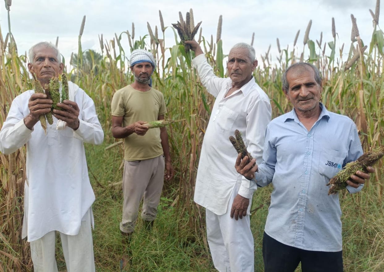 Rain damages crops in Kadama, farmers express anger