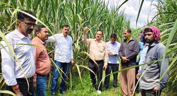 Scientists gave information to farmers about protection from pests and diseases in sugarcane crop